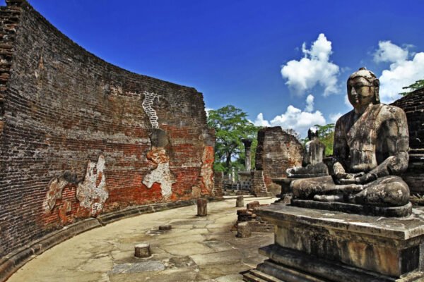 7 Days Cultural Heritage & Wildlife Tour of Sri Lanka