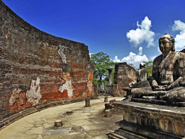 7 Days Cultural Heritage & Wildlife Tour of Sri Lanka